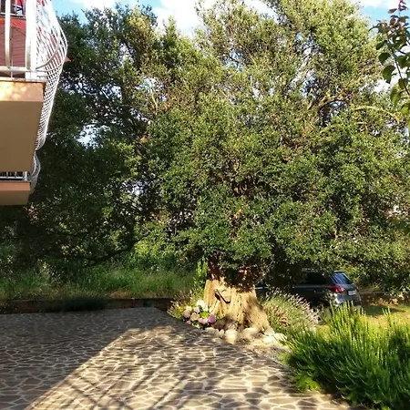 Olive Apartamento