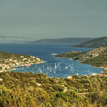 Olive * Vinišće